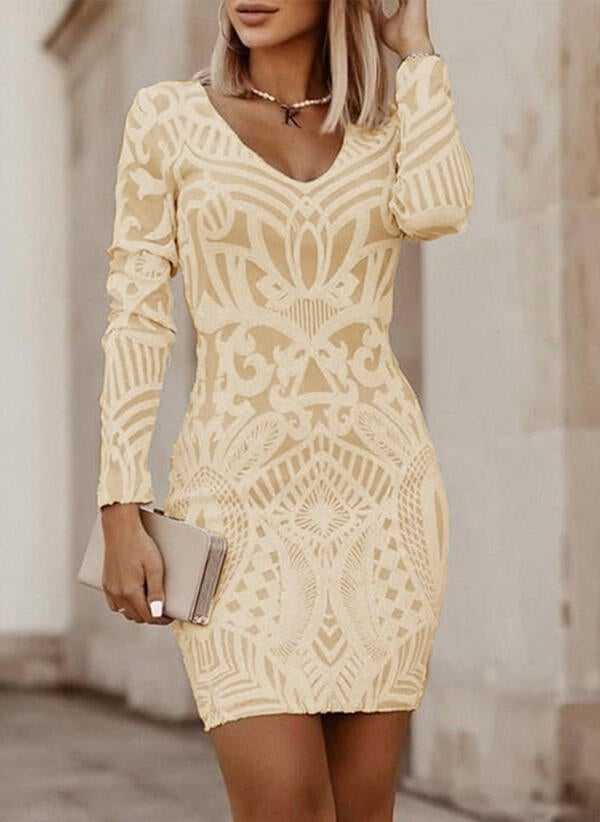 Schwarzes Leopardenkleid - Zara